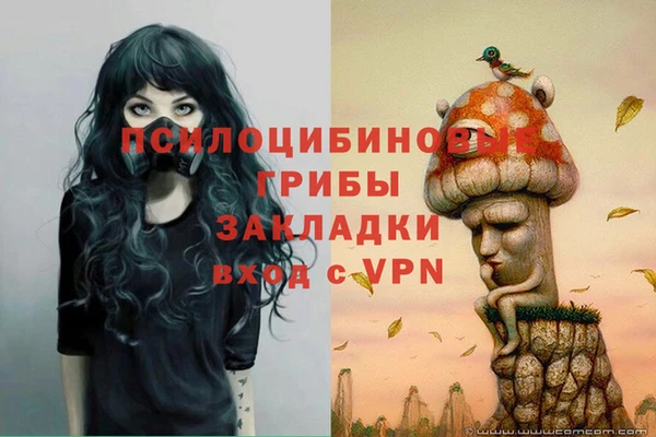 таблы Богданович